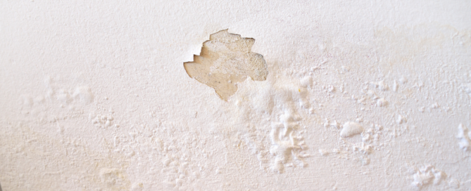 Pharmaceutical cleanroom wall humidity